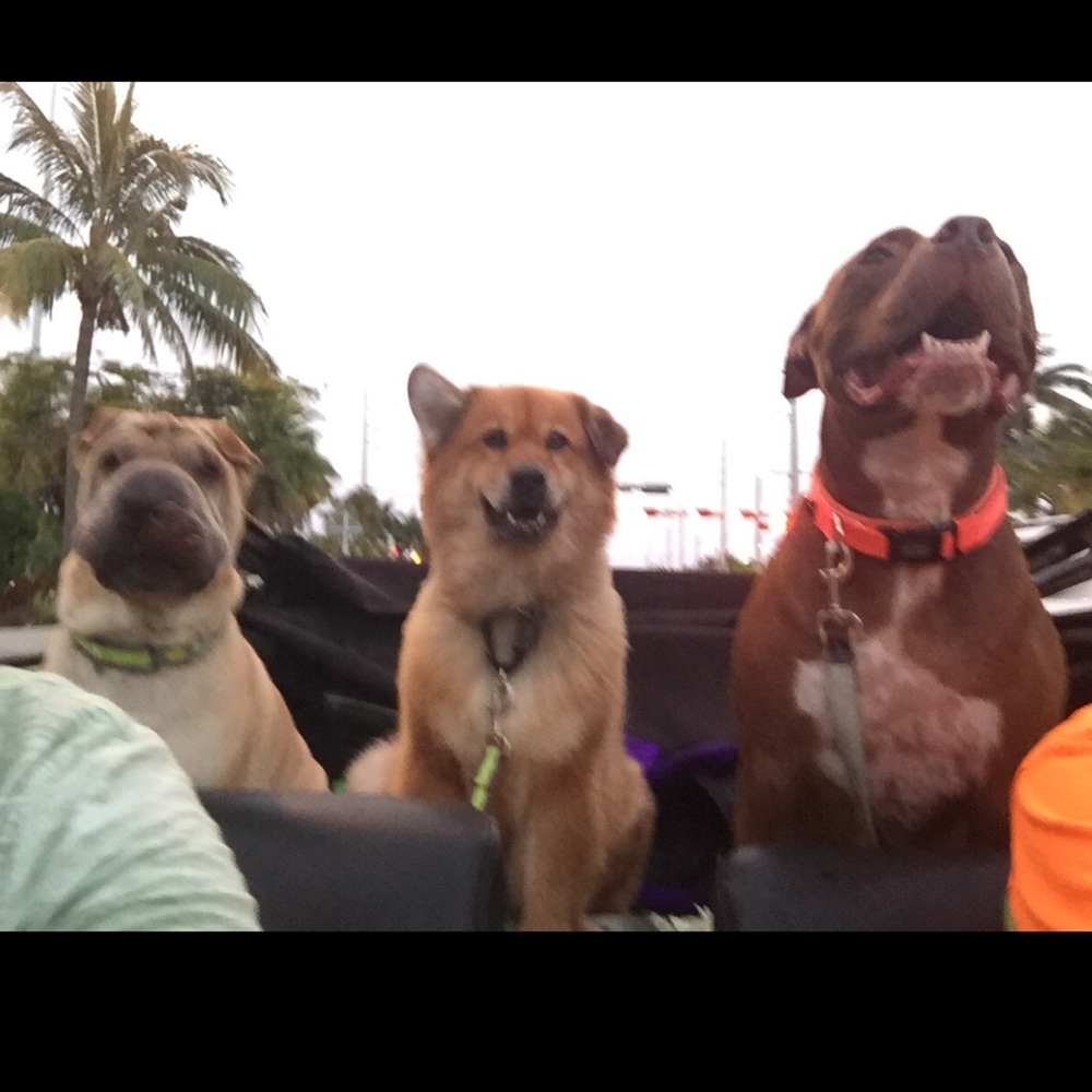 Meet your Posher, Angela